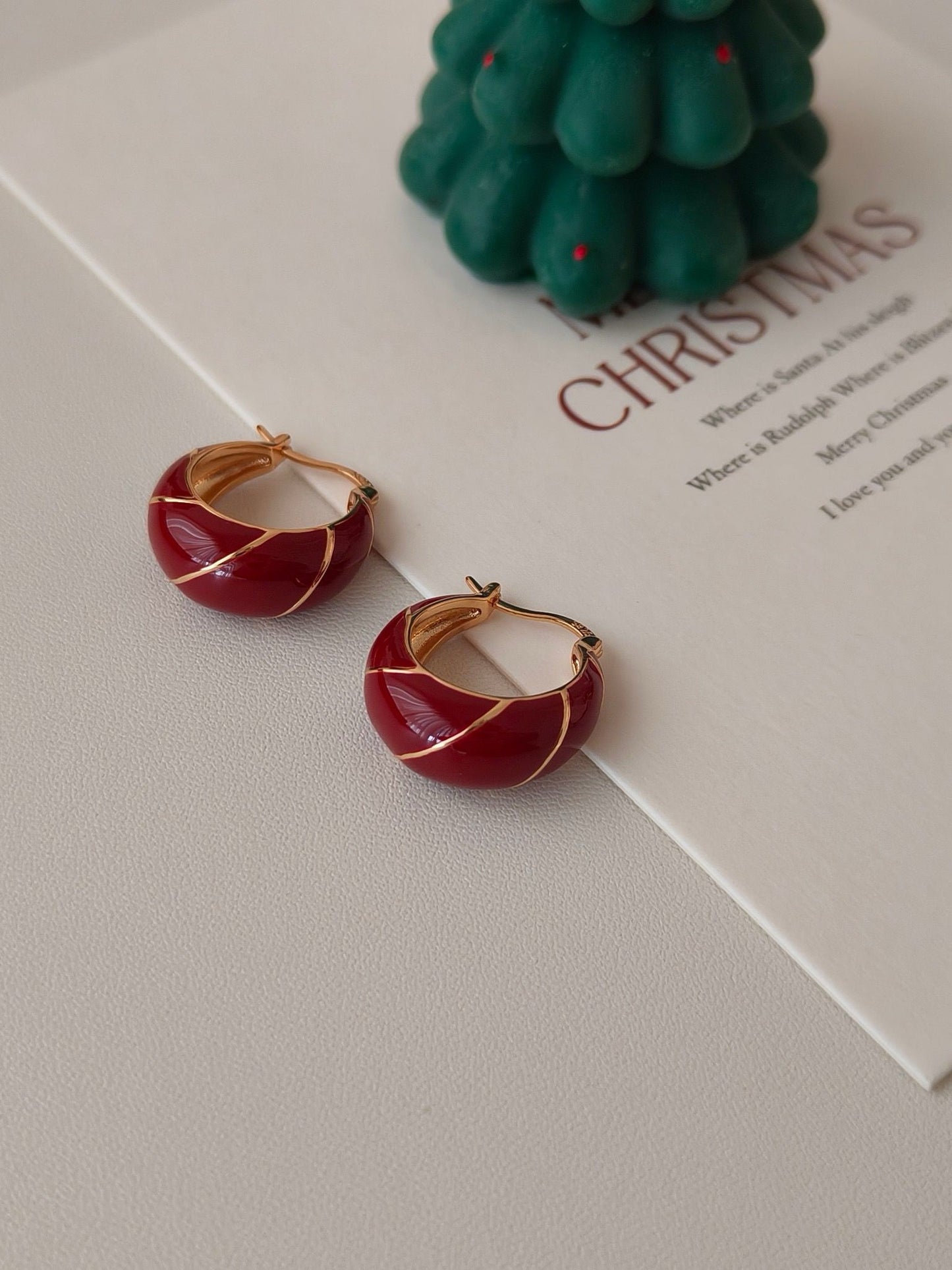 Red Circle Classic Earrings S925