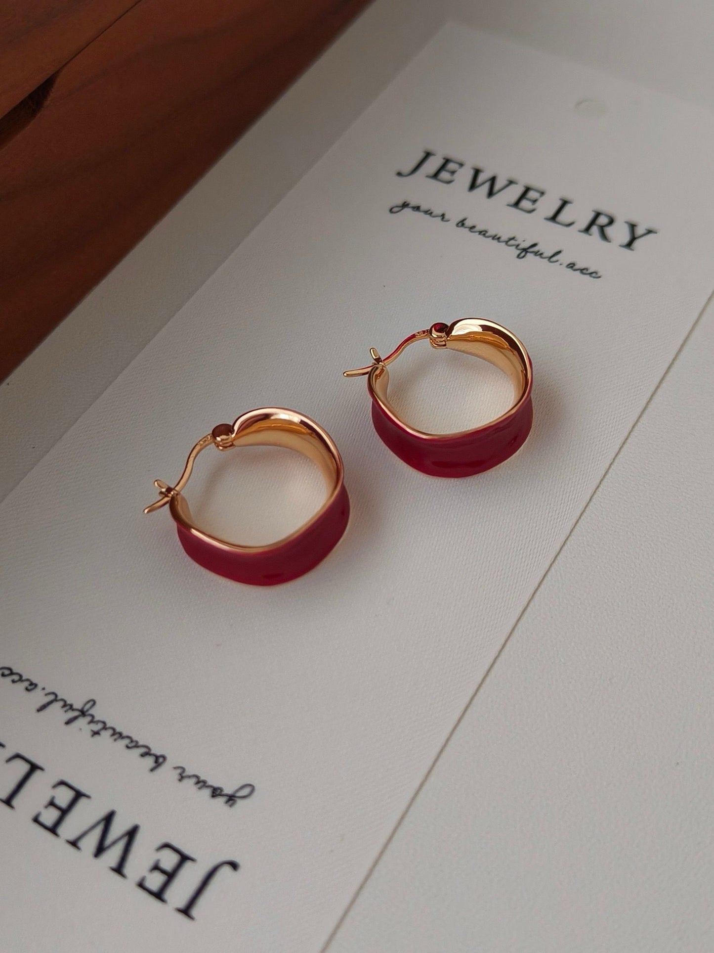 Red Circle Classic Earrings S925